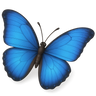 oshens.shop favicon